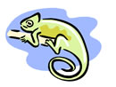 Chameleon