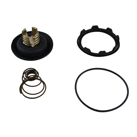 KIT, LISK DIGITAL VALVE REBUILD 1 VALVE