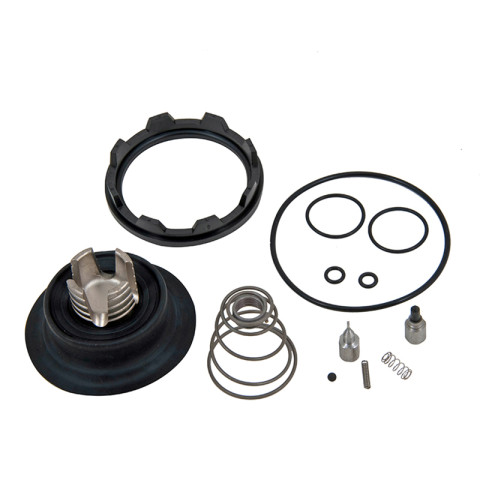 KIT, LISK DIGITAL VALVE REBUILD 1 VALVE