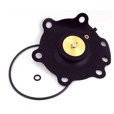 KIT DIAPHRAGM REPAIR