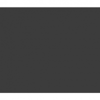 BLNKG PNL 1HS 7067      C