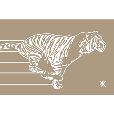 ASSY, LP ADVN EXXON 2000