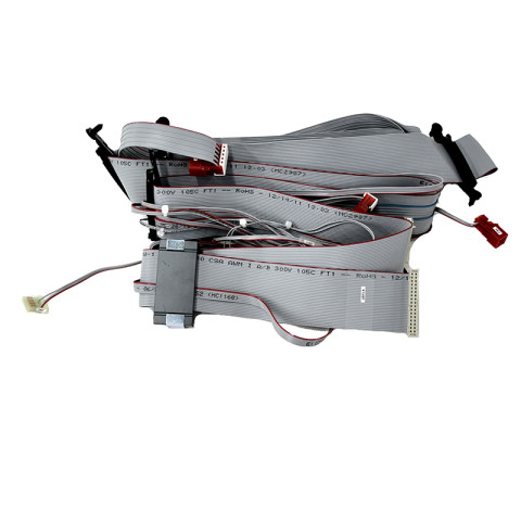 ASSY, OPT DOOR CABLE (F38)