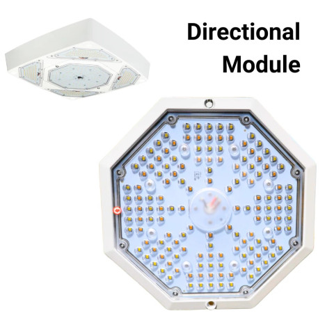 High Output Module with Directional Optics for FlexBeam