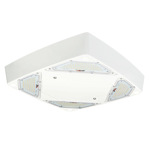 FlexBeam Petroleum Canopy Light